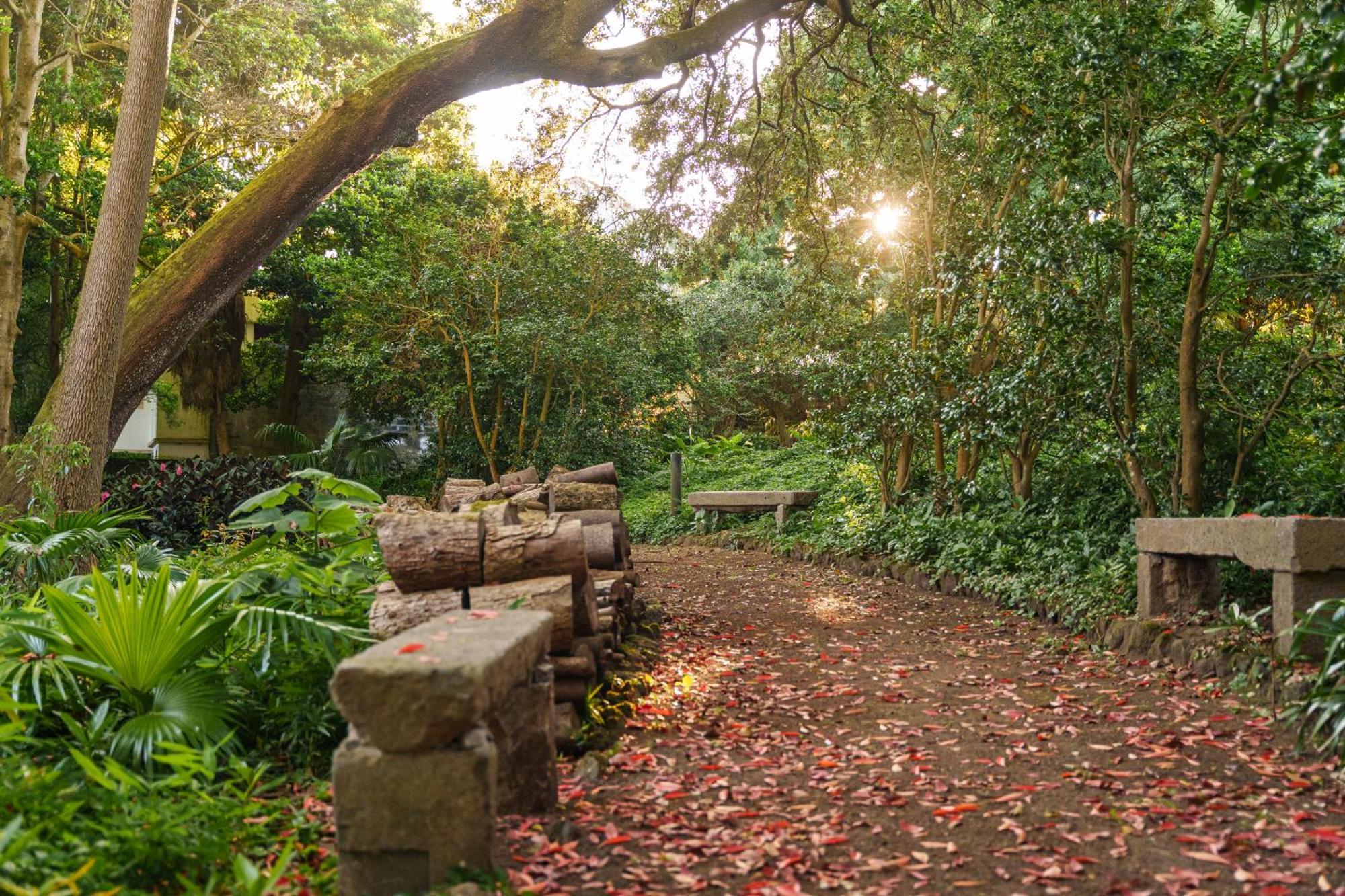 Solar Dos Cantos Botanic House & Garden Ponta Delgada